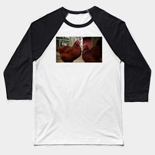 Twin Chickens Baseball T-Shirt